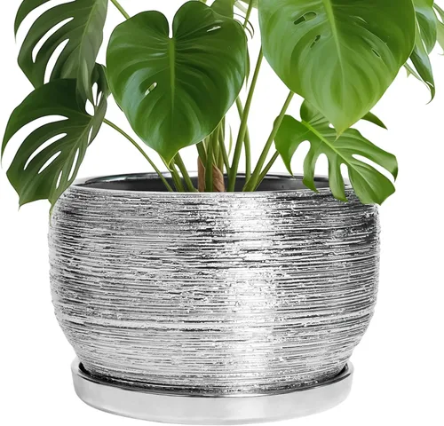 Miniatura 13 de SQOWL Macetas de cerámica – Maceta de 6 pulgadas con orificio de drenaje y bandeja, maceta redonda para plantas de interior, maceta decorativa