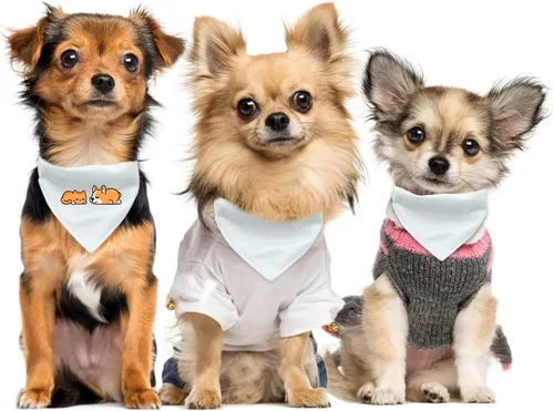 Miniatura 5 de 4 unidades de collar triangular blanco para perro, bandana para perro con hebilla ajustable sublimación en blanco, bandanas para perros y gatos, S