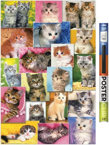 Miniatura 17 de Trends International Keith Kimberlin - Póster de pared de collage de gatitos, 14.725 x 22.375 pulgadas, versión enmarcada de madera de granero