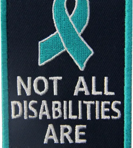 Miniatura 2 de Not All Disabilities are Visible Chalecos/Arneses Service Perro Emblema Bordado Sujetador Gancho y Bucle Parche Azul