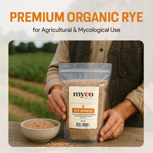 Miniatura 9 de Bayas de Centeno para Cultivo de Hongos - Grano de Centeno Orgánico, Triple Lavado para hacer Cultivo de Hongos en Grano por Mycology Basics - 5