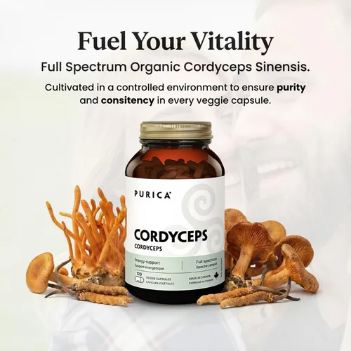 Miniatura 3 de PURICA Cordyceps - Suplementos de hongos, 120 cápsulas veganas, suministro de 30 días, apoya la energía, vitalidad, bienestar respiratorio, cuidado