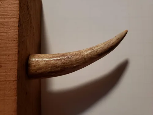 Miniatura 7 de Ganchos de pared con punta de asta real, atornillados en madera o paneles de yeso, paquete de 3