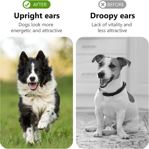 Miniatura 5 de SUPVOX 1 par de herramientas de soporte para orejas de perro: kit de publicación de orejas con cinta y calcomanías para Doberman Corgi y más - Ayuda