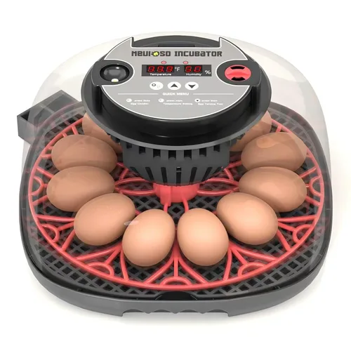 Incubadora de huevos 12-24 con pantalla de humedad, vela de huevos, girador automático de huevos, para incubar pollos, pato, codorniz, loro Rojo