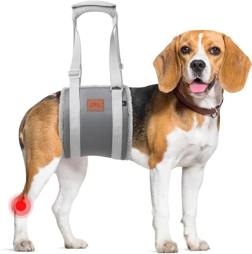 Miniatura 10 de Arnés Ajustable de Elevación para Perros, Cabestrillo para Perros Grandes con Soporte de Elevación y Arnés de Rehabilitación para Patas Traseras