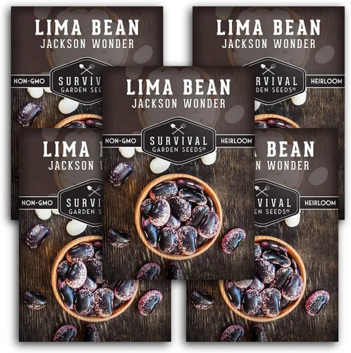 Miniatura 11 de Jackson Wonder - Semillas de frijol de mantequilla moteadas para plantar, frijoles lima, variedad cremosa del sur, cápsulas moteadas únicas