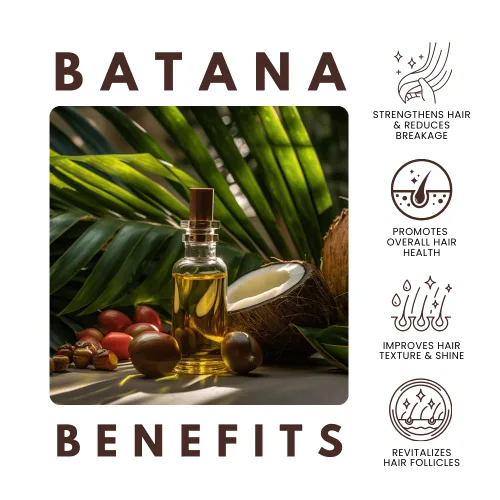 Miniatura 5 de AllDay Locks Batana Aceite para el crecimiento del cabello, cabello saludable, más grueso, más fuerte y brillante, 100% aceite de batana hondureño