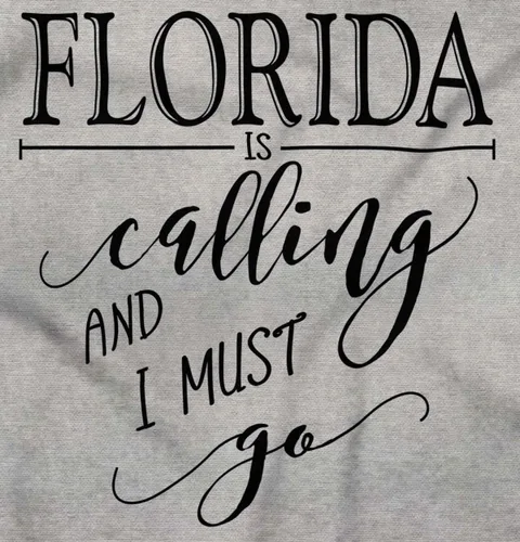 Miniatura 8 de Brisco Brands Sudadera con capucha Florida is Calling and I Must Go para mujer y hombre