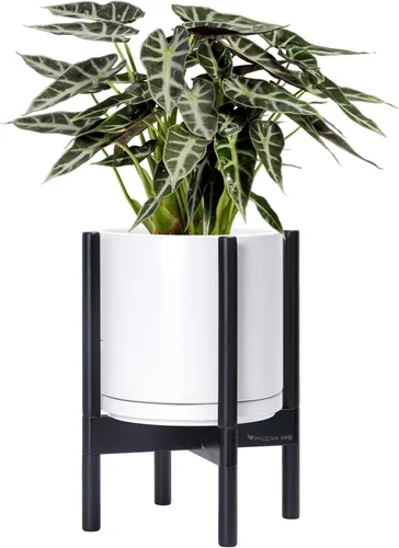 Miniatura 110 de D'vine Dev Maceta de cerámica con soporte de ébano – Maceta redonda moderna de 8 pulgadas con soporte para maceta de madera, color negro, 55-B-M-2