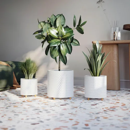 Miniatura 3 de EverNest Claire - Juego de macetas de interior modernas con soporte, patrón blanco, maceta SelectBase, estilo moderno neutro de mediados de siglo