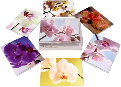 Miniatura 2 de Small World Greetings - Tarjetas de felicitación de orquídeas, 24 unidades, fotografía de orquídeas reales, interior en blanco con sobres, tamaño A2
