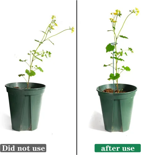 Miniatura 4 de PFNRTH Paquete de 12 estacas para plantas, estacas de soporte para plantas de dos tamaños (16 o 32 pulgadas), estacas para plantas al aire libre