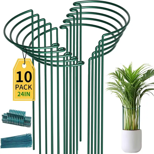 TCBWFY Paquete de 10 estacas de soporte para plantas de peonía, 10 pulgadas de ancho x 24 pulgadas, jaulas de peonía de alta resistencia de 0.177 in