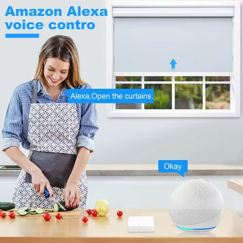 Miniatura 4 de Smart Zigbee Hub para persianas motorizadas JaeJaes funciona para persianas inteligentes opacas para ventanas, compatible con Alexa