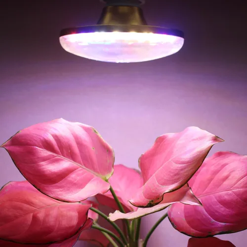 Miniatura 2 de Luces LED de cultivo para plantas de interior, lámpara de cultivo de plantas de espectro completo, E26/E27 10W luz de crecimiento, luz