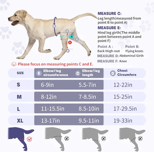 Miniatura 5 de Rodillera para perros para todas las piernas, rodillera ajustable para perros desgarrados en la pierna trasera, mantiene las articulaciones