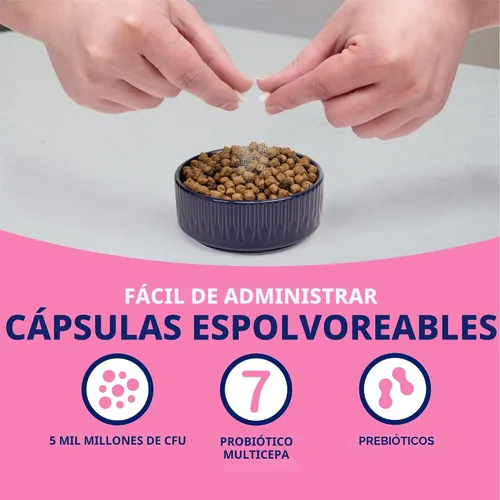Miniatura 8 de Nutramax Probióticos proviables para perros y gatos pequeños, kit de apoyo para la diarrea, suplemento de salud digestiva con múltiples cepas