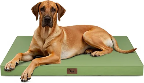 Miniatura 27 de Cama ortopédica de felpa para perros y cachorros medianos, camas impermeables para perros de 30 x 20 pulgadas con funda extraíble lavable, tapete