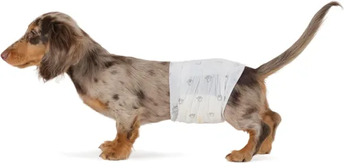 Miniatura 8 de Amazon Basics Pañales para perros machos, 30 unidades, XS, ultra absorbentes, desechables, con ajuste seguro, a prueba de fugas y cómodos