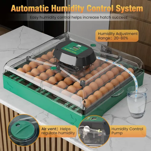 Miniatura 3 de Incubadora de huevos para huevos de gallina, capacidad máxima de 72 huevos con girador automático de huevos y control de humedad, incubadora