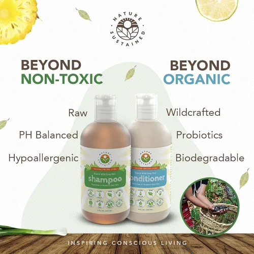 Miniatura 3 de Nature Sustained Champú y acondicionador para piel pura y sensible, fórmula vegetal probiótica cruda (pH equilibrado) para piel sensible y cabello
