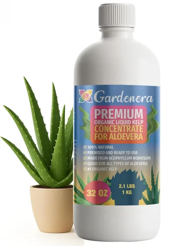 Miniatura 21 de GARDENERA Superalimento orgánico prémium de algas marinas y algas marinas para plantas AGLAONEMA, 8 onzas, concentrado de fertilizante líquido
