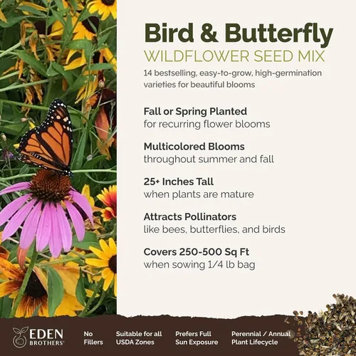 Miniatura 2 de Eden Brothers Semillas mixtas de flores silvestres de aves y mariposas para plantar, 1/4 libras, más de 120,000 semillas con cosmos, manta india