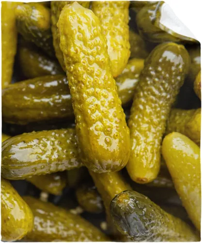Miniatura 20 de Manta de Chips de Nachos para Otoño Invierno Primavera Todas las Estaciones Cálida Mullida 50x40 pulgadas para Pequeños Microfelpa Ligera Térmica