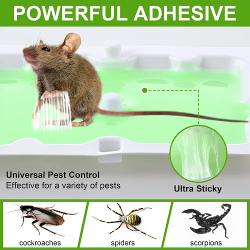 Miniatura 3 de Qualirey Paquete de 6 trampas de pegamento para ratón, trampas superadhesivas tamaño ratón para ratones y ratas, prearomatizadas, no tóxicas