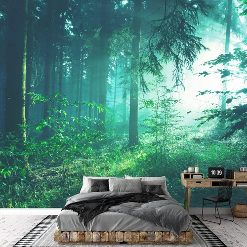 Miniatura 3 de SIGNWIN Adhesivo mural removible para pared, luz solar mística, niebla, bosque de árboles verdes, naturaleza, desierto, fotografía, realismo