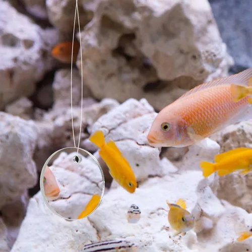 Miniatura 3 de POPETPOP Espejo de entrenamiento de peces Betta de 1.96 pulgadas, espejo de acuario acrílico flotante para juguete de ejercicio Betta adecuado
