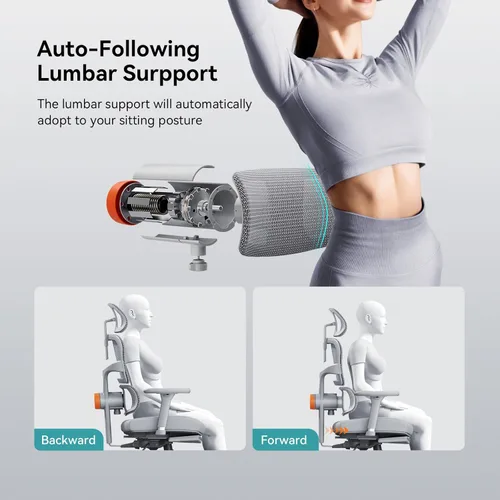 Miniatura 4 de Newtral Silla de oficina ergonómica con soporte lumbar de seguimiento automático, reclinable de 136°, silla de escritorio para computadora con Gris
