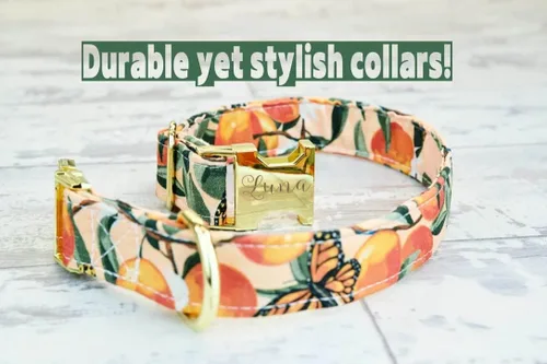 Miniatura 3 de Collar de perro Peaches con hebilla de metal o plástico, hecho a mano, collar personalizado grabado personalizado, 1 pulgada de ancho, collares