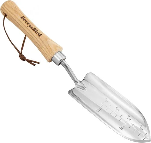 Miniatura 9 de Berry&Bird Cuchara de tierra de gran tamaño, de acero inoxidable con mango de madera, cuchara de pala de mano multifunción para trasplantar, plantar