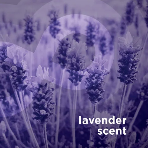 Miniatura 6 de Pulse - Potenciadores de aroma para ropa sucia, aroma a lavanda, cuentas que aumentan el aroma, fragancia de larga duración (20.1 onzas)