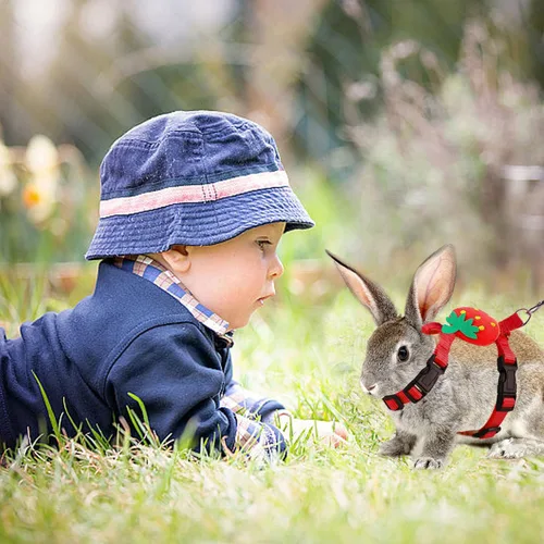 Miniatura 6 de Arnés ajustable de conejo y correa de conejo, chaleco de arnés de hurón con decoraciones para conejo, gatito, cachorro, cerdo y animales pequeños