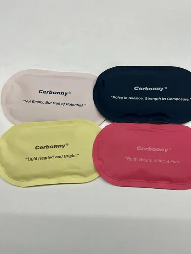 Cerbonny Bolsas de hielo para loncheras