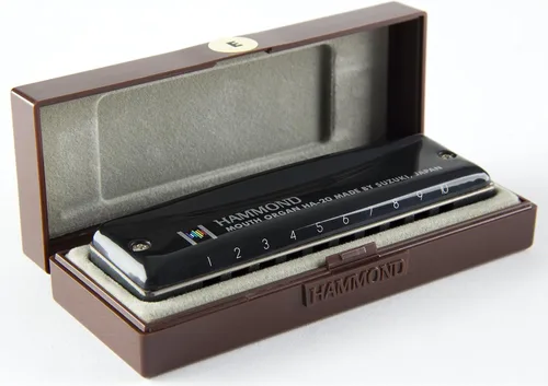 Miniatura 5 de Otra armónica, negra (HAMMOND HA-20 G)