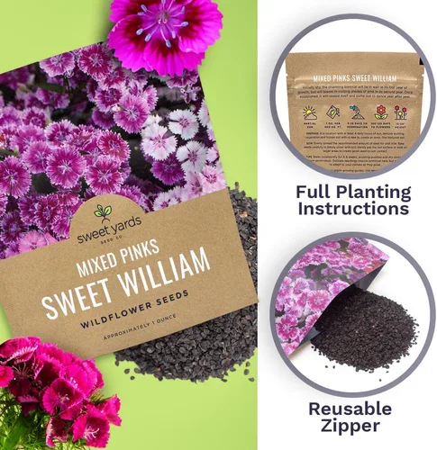 Miniatura 5 de Semillas Sweet William - Colores rosados mezclados - Paquete extra grande de 1 onza - Más de 30,000 semillas de flores polinizadas abiertas sin OMG