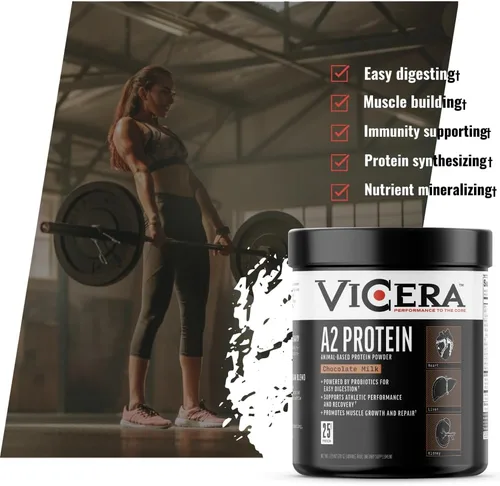 Miniatura 5 de VICERA A2 Polvo de Proteína, Leche de Chocolate, 25 G de Proteína por Porción, Mezcla Orgánica de A2/A2 de Suero y Caseína con Probióticos y Sal