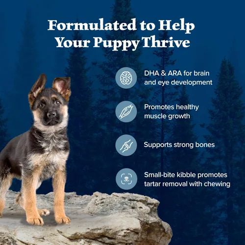 Miniatura 5 de Blue Buffalo Wilderness Puppy - Alimento seco para perros con alto contenido de proteínas con pollo real, sin granos, fabricado en los Estados