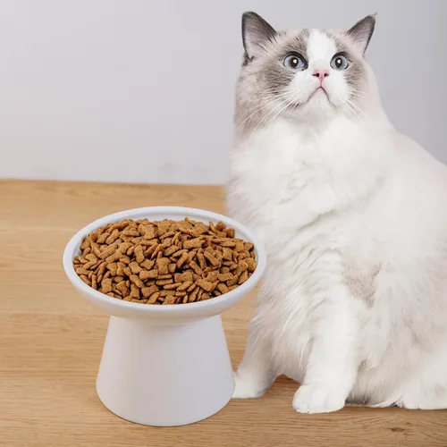 Miniatura 4 de Cuencos de Cerámica Extra Anchos Elevados de 6.2 Pulgadas para Gatos, Juego de Cuencos de Comida y Agua para Gatos Mayores Grandes y Perros Blanco-4