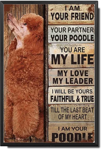 Miniatura 58 de Letrero de Metal Letrero de Hojalata Arte de Pared Vintage I Am Your Friend Regalo para Amantes de Schnauzer Arte de Pared Vintage Impresiones