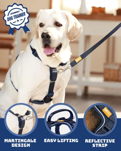 Miniatura 2 de DF Freedom - Arnés Martingale para perro, control suave para no asfixia, arnés de clip frontal con mango reflectante, ajustable y acolchado