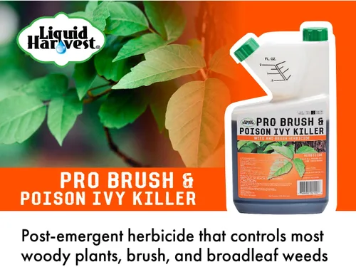 Miniatura 2 de Pro Brush & Poison Ivy Killer – 32oz – (Comparar con Crossroad) Herbicida concentrado posemergente para plantas leñosas, cepillo y control