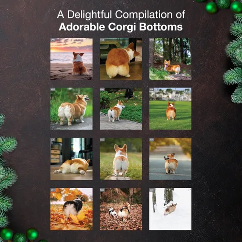 Miniatura 3 de MICASA PRESS Corgi Butts - Calendario de pared 2026 de 12 meses 12 x 24 pulgadas abierto Papel grueso y resistente Regalo de vacaciones
