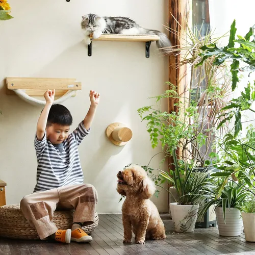 Miniatura 8 de FUKUMARU Muebles de pared para gatos, escalones para paneles de yeso, escaleras de gatitos para montar en la pared con estante de yute para gatitos