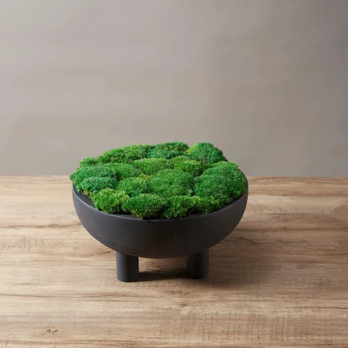 Miniatura 5 de Cojín Almohada Bollo de Musgo de Poste Preservado Verde Natural Decorativo Real Natural Kit de Bricolaje Arte de Jardinería Decoración de Pared