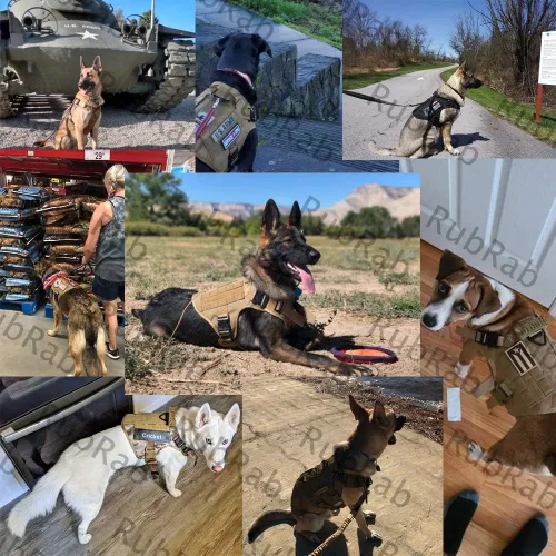 Miniatura 4 de Arnés táctico para perro con asa, chaleco Molle de entrenamiento militar con hebillas de metal y paneles de bucle, correa elástica para perro